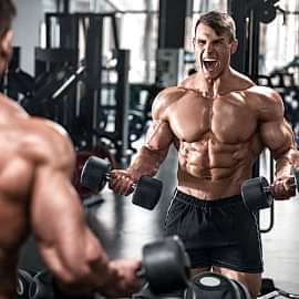 Bodybuilding